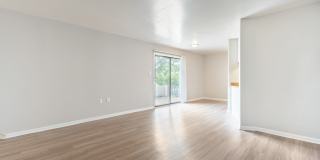 The Dawson Gallery 6