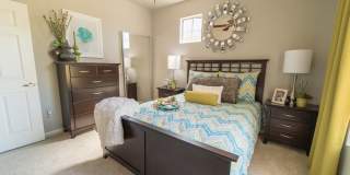 Sonoma Ridge Gallery 8