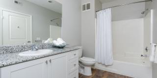 Paragon at Old Town Gallery 32