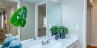 Park Sierra Gallery 46