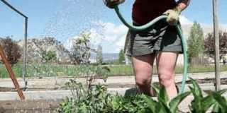 Belle Creek Apartments Gallery 24