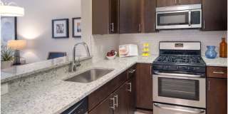 The Courts Of Devon Gallery 60