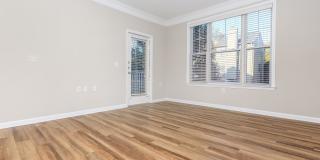 Emerson at Cherry Lane Gallery 33