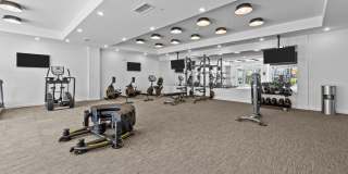 Legend at Beards Hill Gallery 9