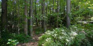 Contemporary 3-Bedroom 2-Bath Townhome in Chapel Hill Close to UNC and Hospital! Gallery 20