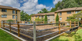 Reston Glade Gallery 28