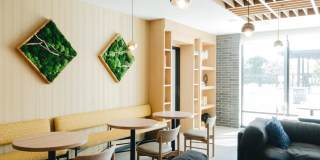 Revelry Gallery 18