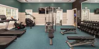 The Alexandria Gallery 22