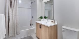 The Winston Gallery 14