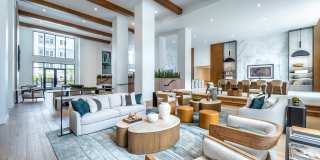 Lantower Bayside Gallery 50