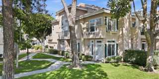 7254 Shoreline Drive Gallery 1