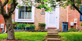 19 ISLAND RUN Gallery 1