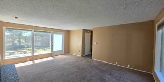 1623 Mowry Square - 1 Gallery 6