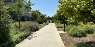 Charming 3 Bed / 2.5 Bath Home with Modern Upgrades Gallery 8