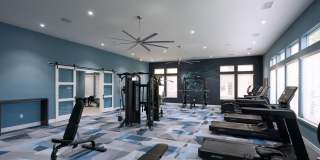 Mason Stuart Gallery 30