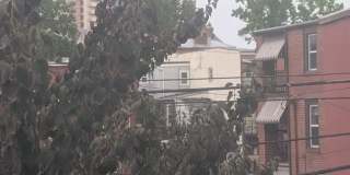 1BR Gallery 19