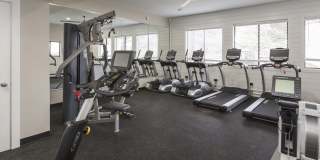 Cottonwood Terrace Gallery 12