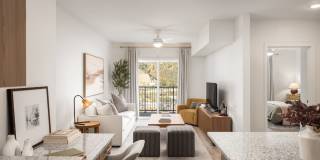 The Meadows Gallery 2