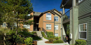 Boulder Creek Gallery 1