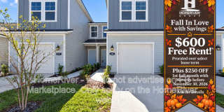 206 Brazil Nut Cir Gallery 1