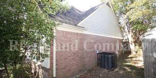 9532 Chi Chi Cv Gallery 3