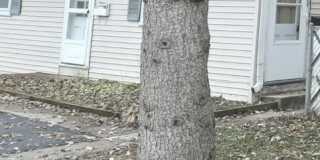 3315 Waukegan Road Gallery 1
