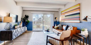 Elm at Panorama Gallery 3