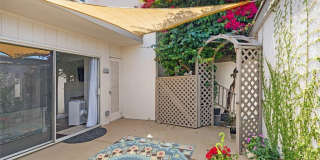 712 Calle Divino Gallery 42