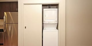 The Elysian Gallery 638