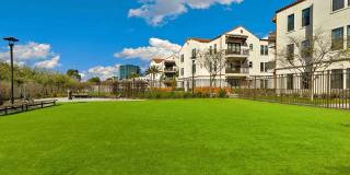 Cortland Biltmore Gallery 40