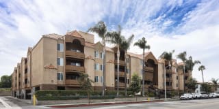 Encino Palms Gallery 1