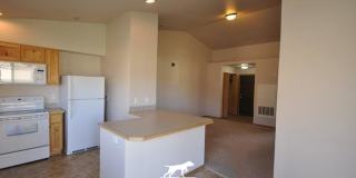 2107WHISPERINGWILLOW Gallery 10