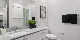 Ascend at Carlton Gallery 45