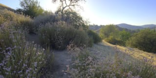 Avalon Oak Creek Gallery 47