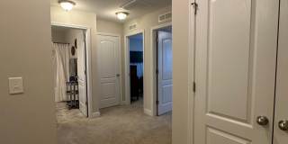 124 Spring Pine Lane Gallery 16