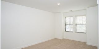 Park South Gallery 16