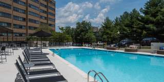 The Mark Alexandria Gallery 18