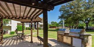 Oak Forest Gallery 3