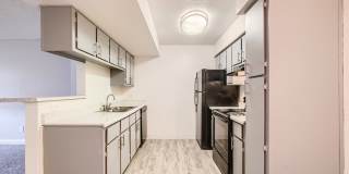 Rise Desert West Gallery 51