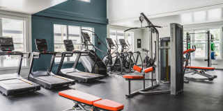 Alister Lake Lynn Gallery 22