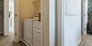 8328 ALEXANDER Court Gallery 29