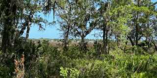 Hamilton Landing Gallery 27