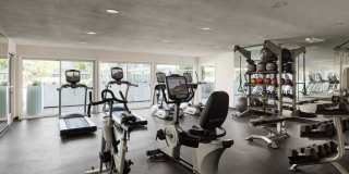 Citrus Gardens Gallery 14