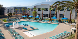 Homecoming at The Resort Apartments Gallery 34