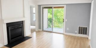 20208 SHIPLEY TER #302 Gallery 3