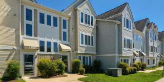 Orchard Park Gallery 35