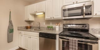 Madison Landing at Research Park Gallery 8