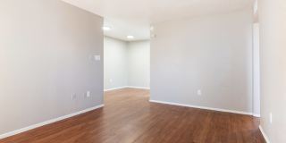 Helios Gallery 25