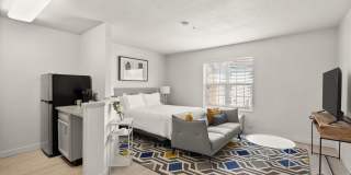 AVIA North Shore Gallery 3