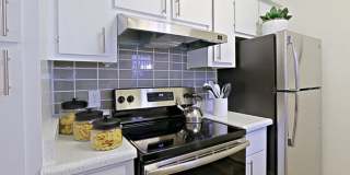 Rise Desert West Gallery 65